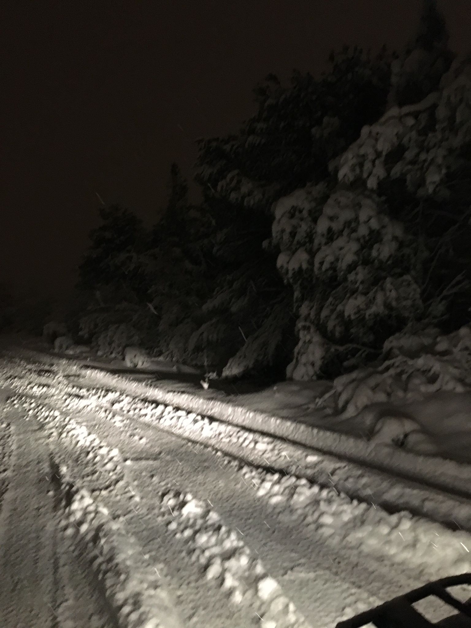 Gece Turlarımız
